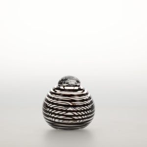 Birds Whip-Poor-Will 0394