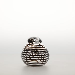 Birds Whip-Poor-Will 0400