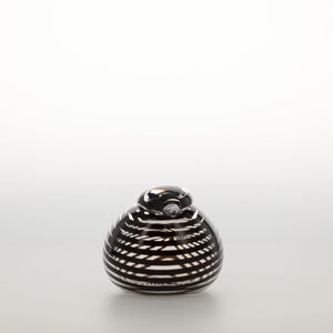 Birds Whip-Poor-Will 0427