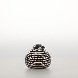 Birds Whip-Poor-Will 0433