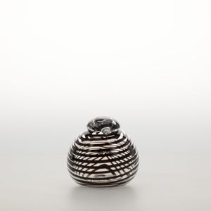 Birds Whip-Poor-Will 0439
