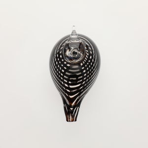 Birds Whip-Poor-Will 0384