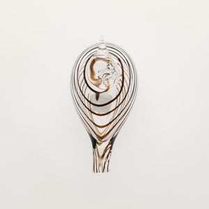Birds Whip-Poor-Will 0390