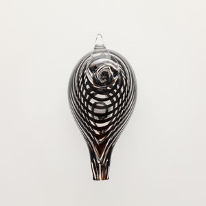 Birds Whip-Poor-Will 0393