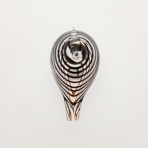 Birds Whip-Poor-Will 0397