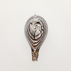 Birds Whip-Poor-Will 0398