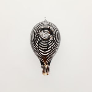 Birds Whip-Poor-Will 0399