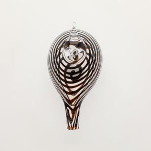 Birds Whip-Poor-Will 0402