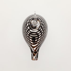 Birds Whip-Poor-Will 0403