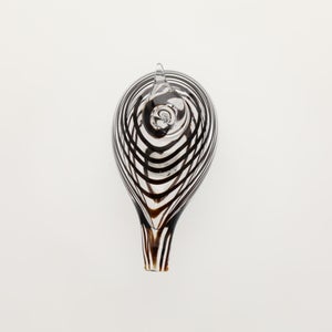 Birds Whip-Poor-Will 0405