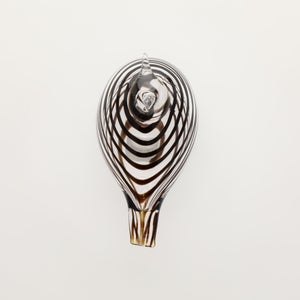 Birds Whip-Poor-Will 0407