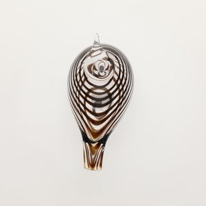 Birds Whip-Poor-Will 0410