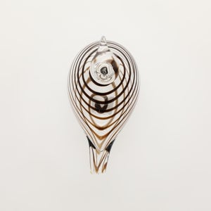 Birds Whip-Poor-Will 0413