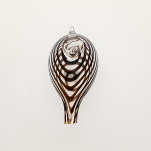 Birds Whip-Poor-Will 0421
