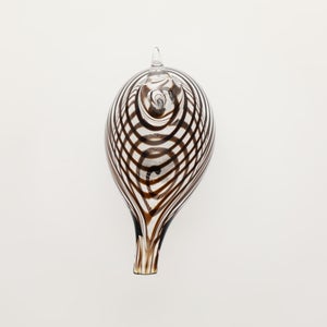 Birds Whip-Poor-Will 0431
