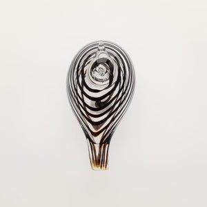 Birds Whip-Poor-Will 0432