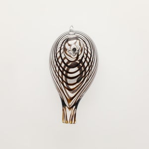 Birds Whip-Poor-Will 0435