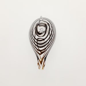 Birds Whip-Poor-Will 0436