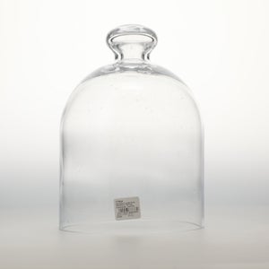 ガラスドーム バブル 0048