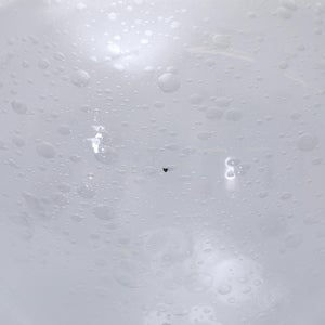 オーナメントボール 2025 バブル 0126