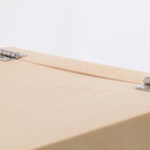 Fatty Containers Lサイズ 2576