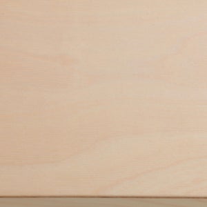 Fatty Containers Lサイズ 2581