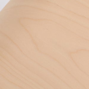 Fatty Containers Lサイズ 2582