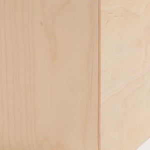 Fatty Containers Lサイズ 2594