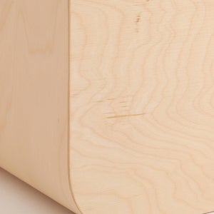 Fatty Containers Lサイズ 2621