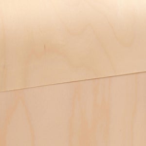 Fatty Containers Lサイズ 2626