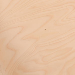 Fatty Containers Lサイズ 2629