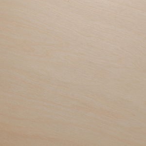 Fatty Containers Lサイズ 2630