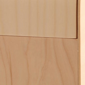 Fatty Containers Lサイズ 2641