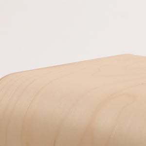 Fatty Containers Lサイズ 2649