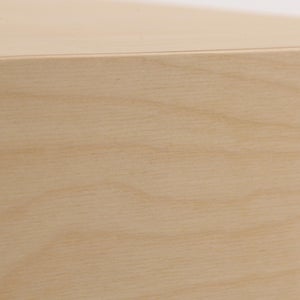 Fatty Containers Lサイズ 2658