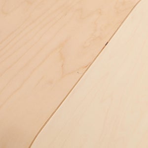 Fatty Containers Lサイズ 2669