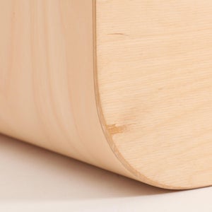 Fatty Containers Lサイズ 2670