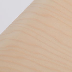 Fatty Containers Lサイズ 2581