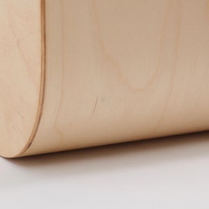 Fatty Containers Lサイズ 2587