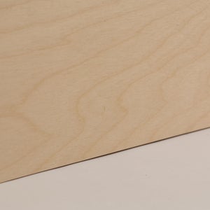 Fatty Containers Lサイズ 2645