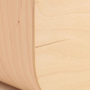 Fatty Containers Lサイズ 2647