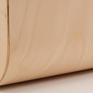 Fatty Containers Lサイズ 2655