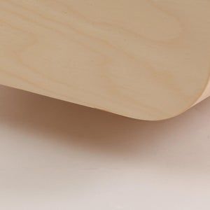 Fatty Containers Lサイズ 2656