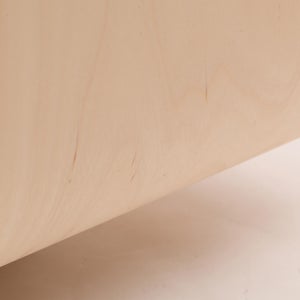 Fatty Containers Lサイズ 2659