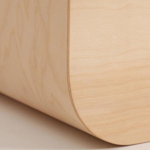 Fatty Containers Lサイズ 2664