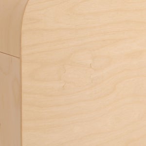 Fatty Containers Lサイズ 2673