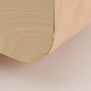 Fatty Containers Lサイズ 2677