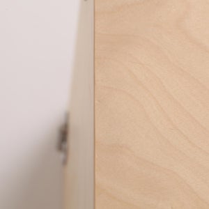 Fatty Containers Lサイズ 2694