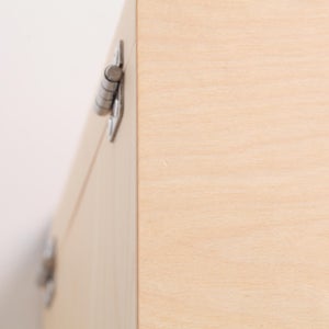 Fatty Containers Lサイズ 2696