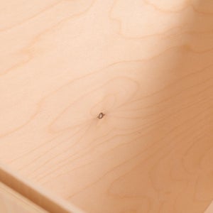 Fatty Containers Lサイズ 2636